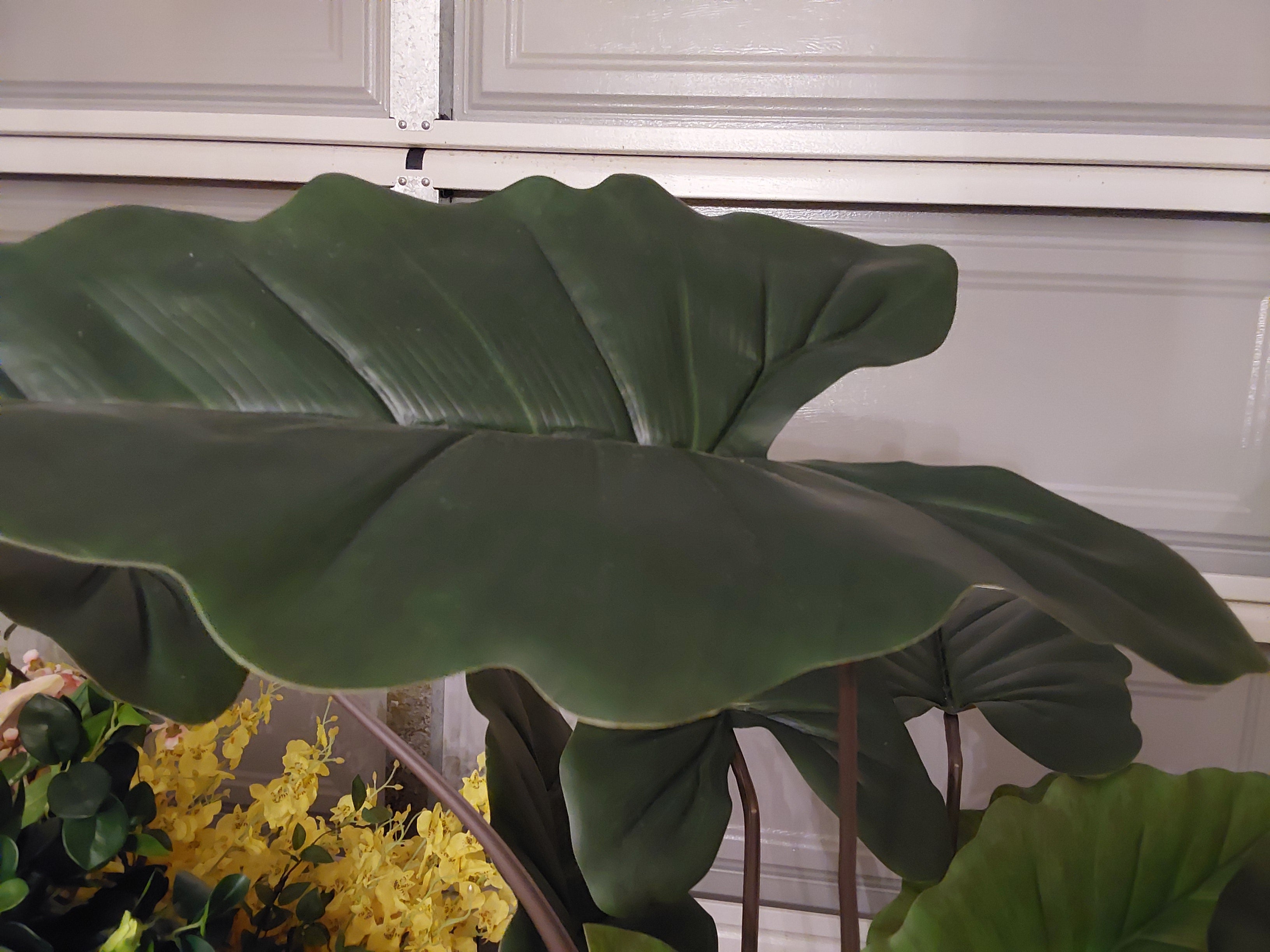 Artificial Fiddle Plant