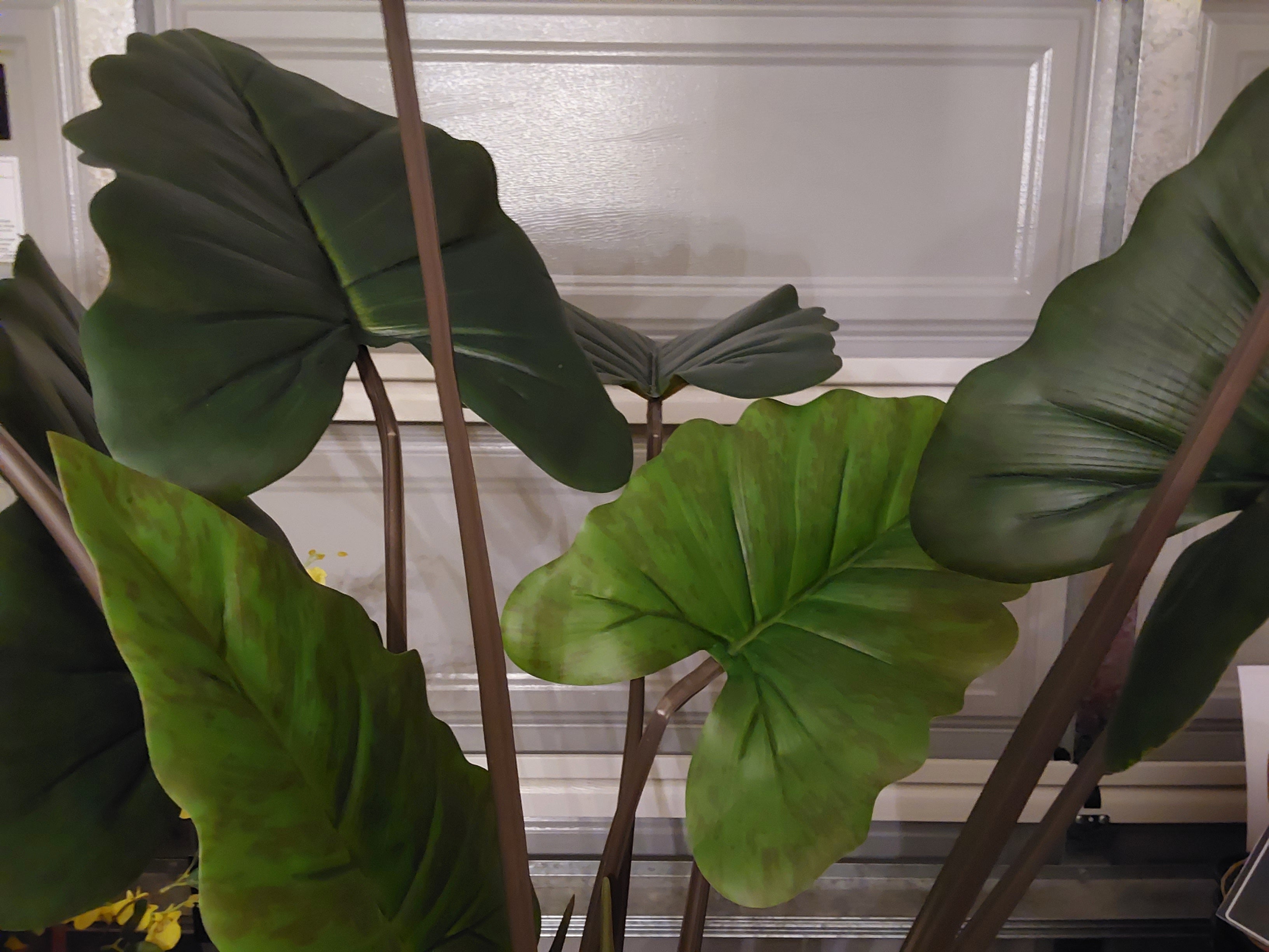 Artificial Fiddle Plant