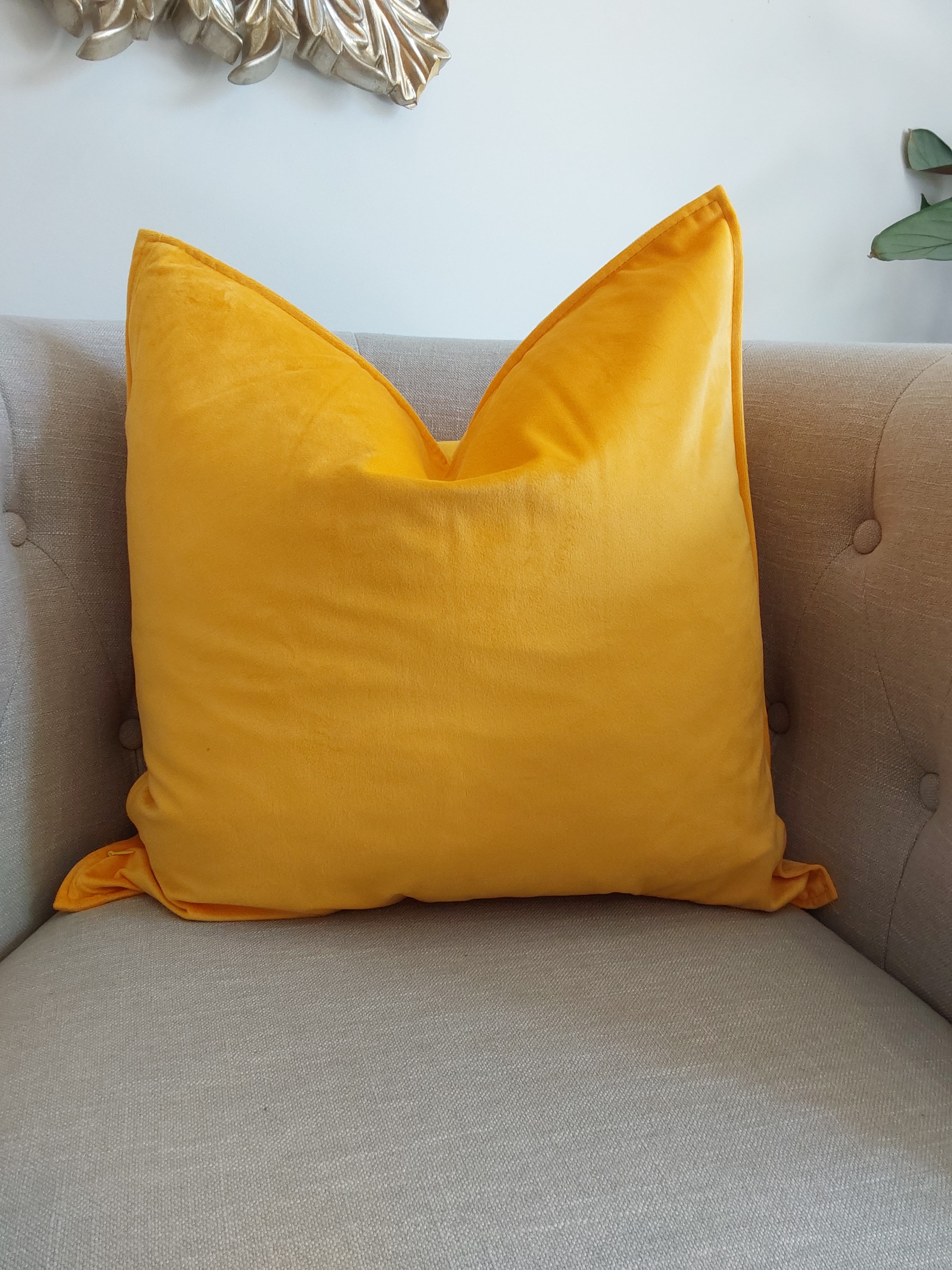 Luxurious Plain Velvet Cushions