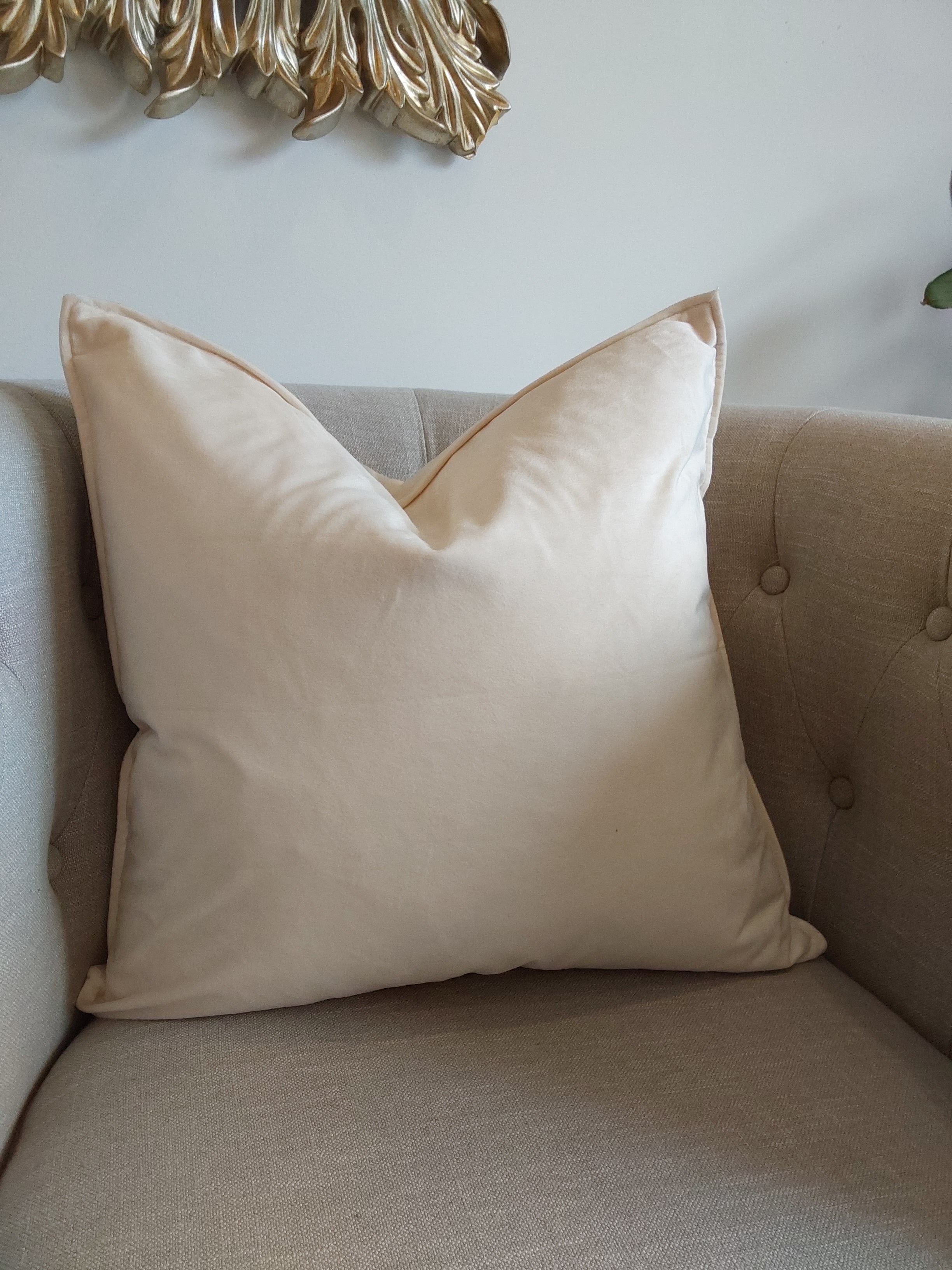 Luxurious Plain Velvet Cushions