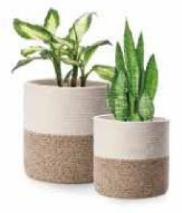 Brown and Beige Basket