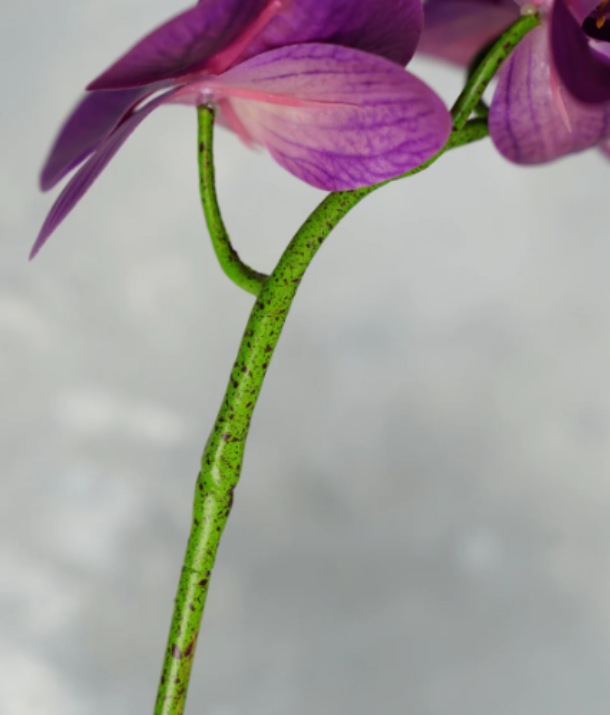 Real Look 9 Heads Orchids-White