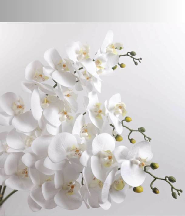 Real Look 9 Heads Orchids-White