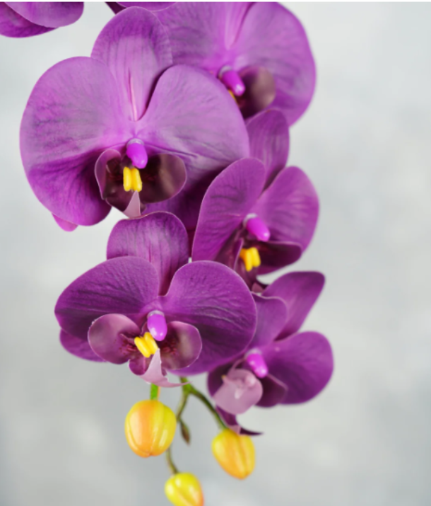 Real Look 9 Heads Orchids-Pink